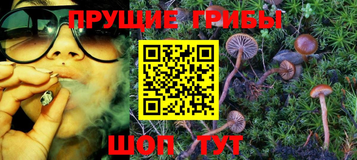 Галлюциногенные грибы GOLDEN TEACHER  Вход с VPN  купить закладку  Псилоцибиновые грибы Magic Shrooms  Лесозаводск 